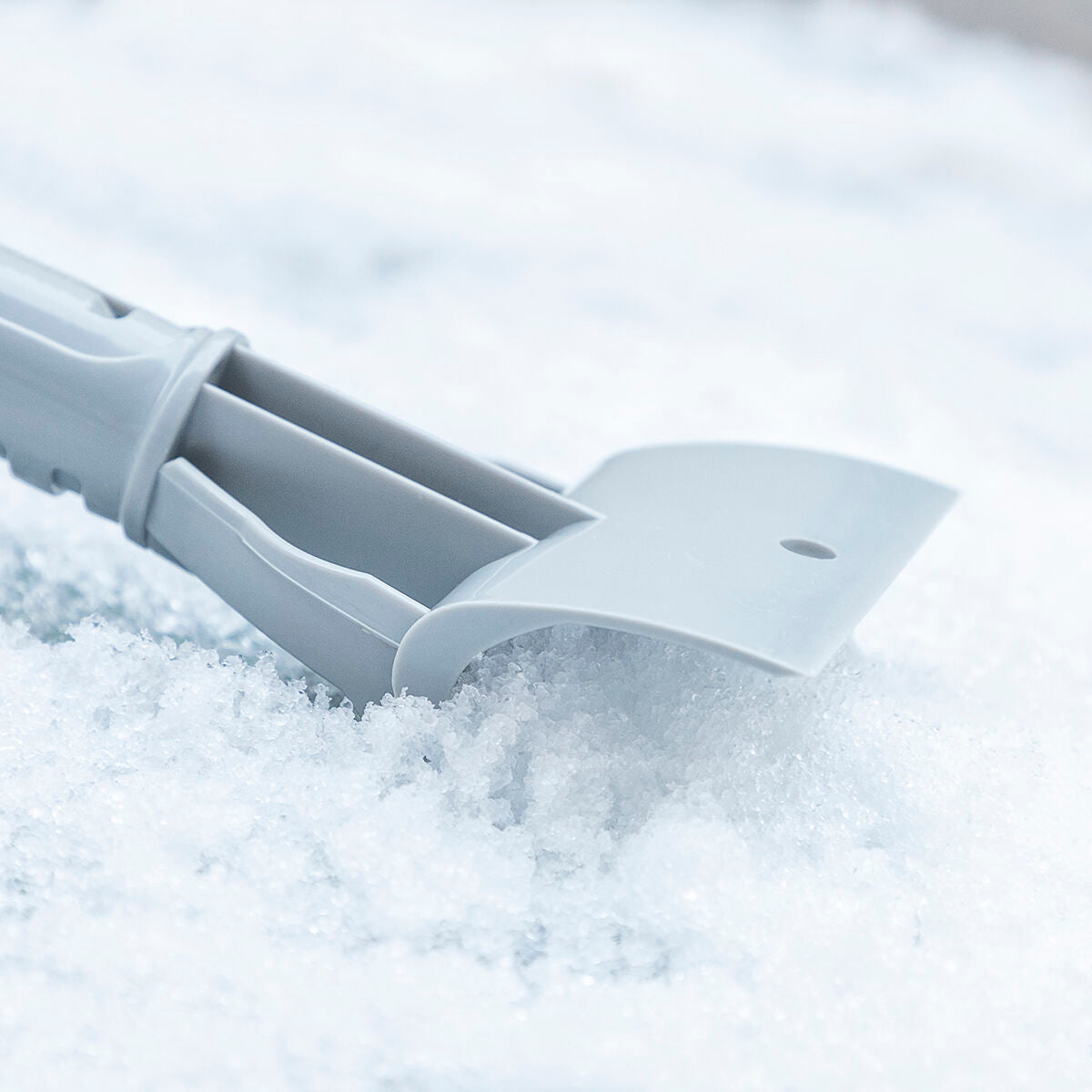 V10H771B0947089870B0D0BB312BABF7A2F7R5275191P10