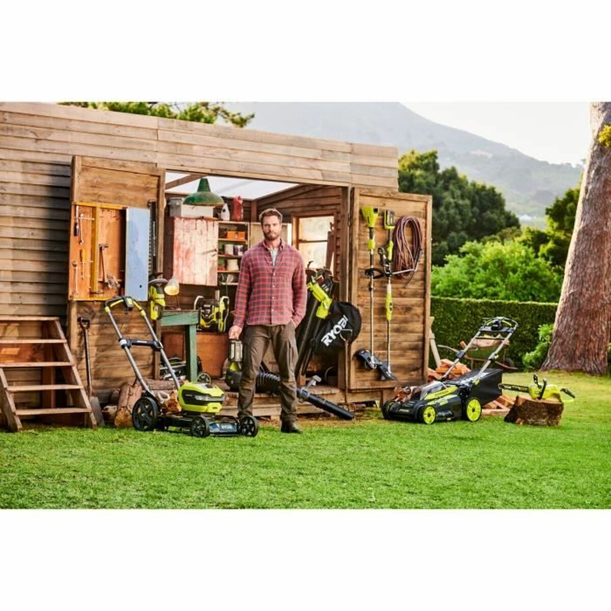 V5H6C3819F32EAE38DE2069C011677D9039R6446784P2