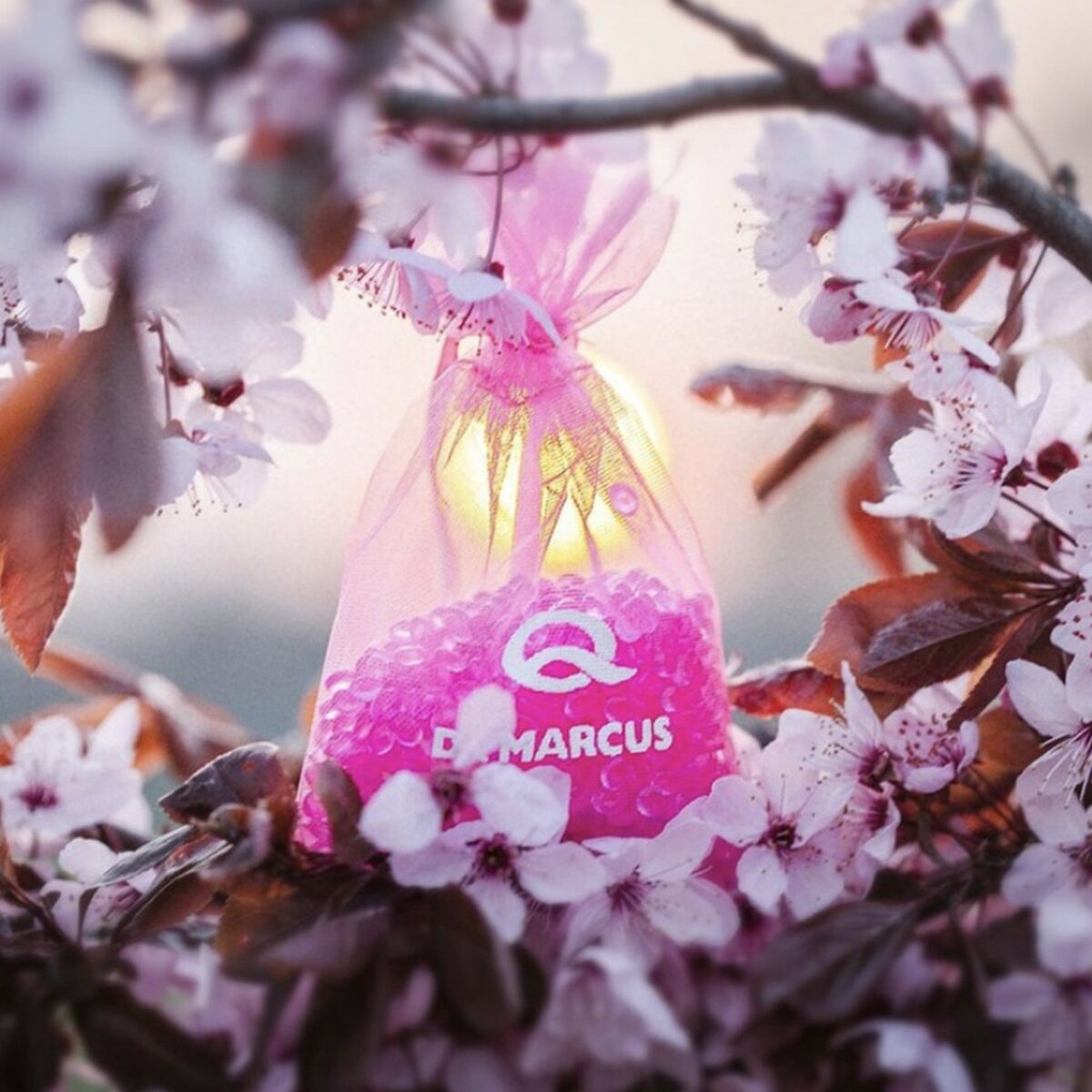 V2HD7979A2EAF6CBE8BFDFCC13D787DAFD9R5715716P2