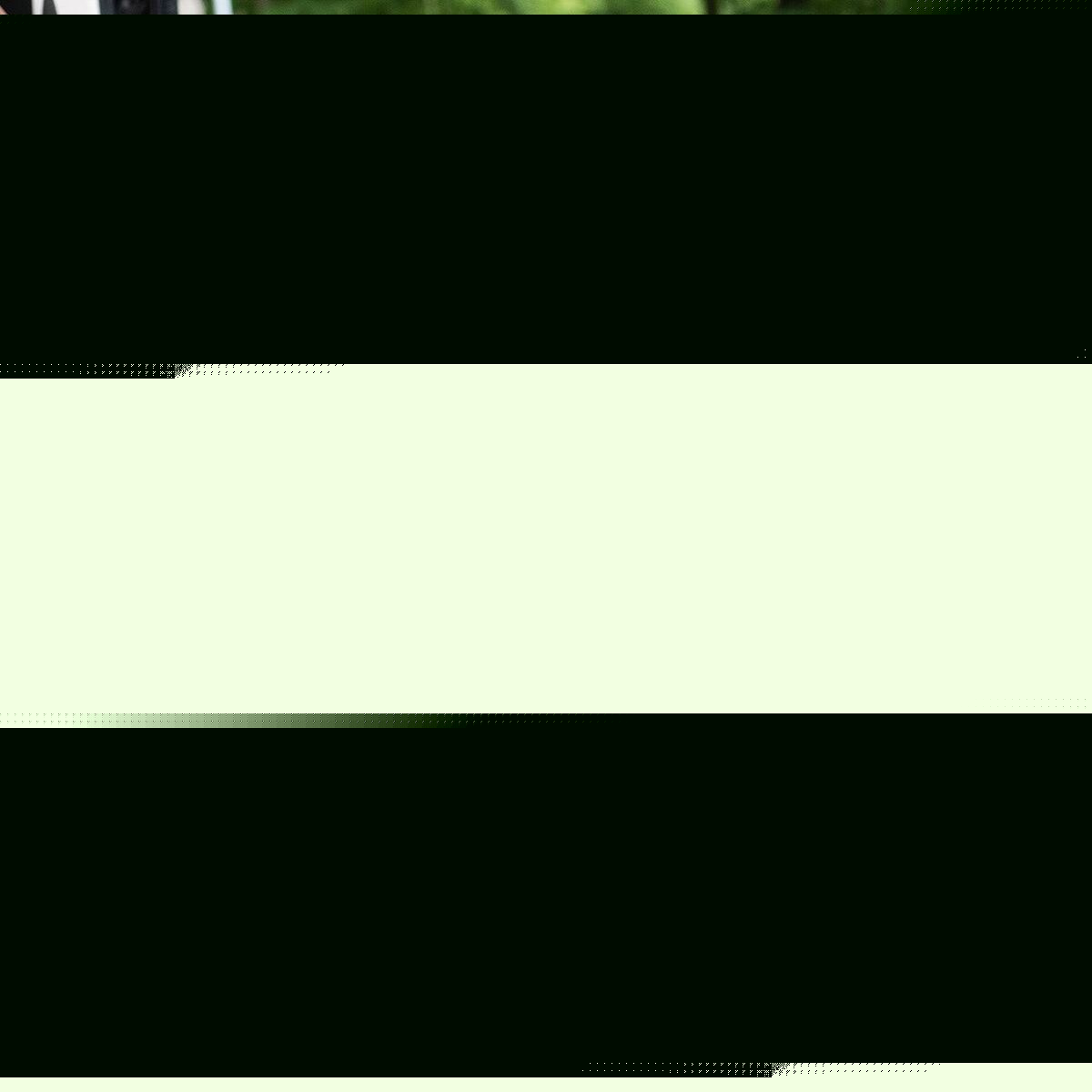 V3HC0B15D3C2BF1B4288390F36607B0C6E5R5067978P5