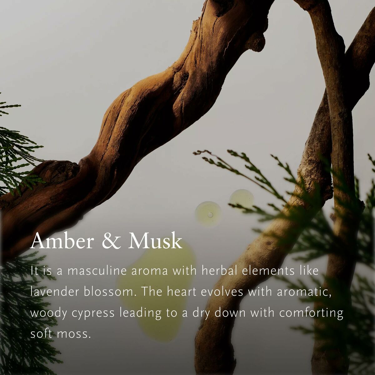 V2H3A8B028192A9645786B8D0A845B5ABD9R5617570P4